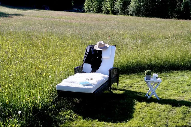 Wiese in Pfronten bei den Ferienwohnungen